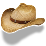 Hat-cowboy-straw-icon